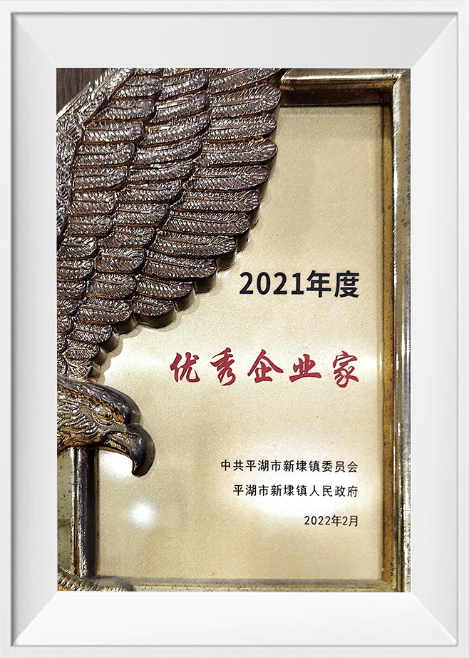 Excellent entrepreneur